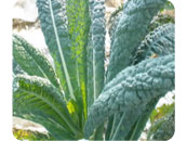 ������٥ĥ��᡼��