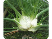 �ե��Υå������᡼��