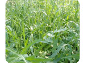 ��å��饻��Х������᡼��